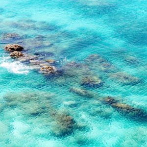 Sea