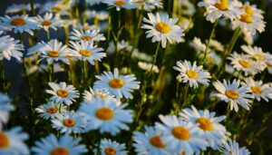 abundance